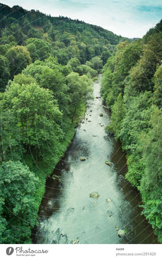 Die Trieb Sommer Umwelt Natur Landschaft Pflanze Urelemente Wasser Himmel Horizont Klima Schönes Wetter Baum Wald Fluss grün Idylle Vogtlandkreis Triebtal