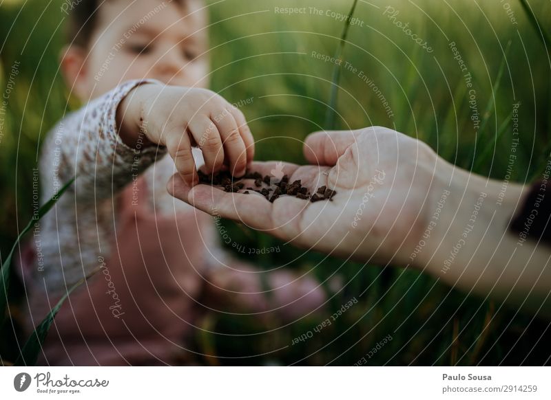 Kind berührt Erde in der Hand der Mutter Lifestyle Mensch Baby Mädchen Erwachsene 1 1-3 Jahre Kleinkind Umwelt Natur Sommer berühren entdecken genießen liegen