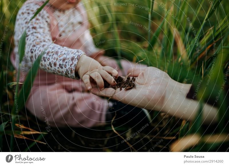 Babyhand berührt Erde Lifestyle Camping wandern Kindererziehung Mensch Kleinkind Mädchen Mutter Erwachsene Hand 1-3 Jahre Umwelt Natur Frühling Schönes Wetter