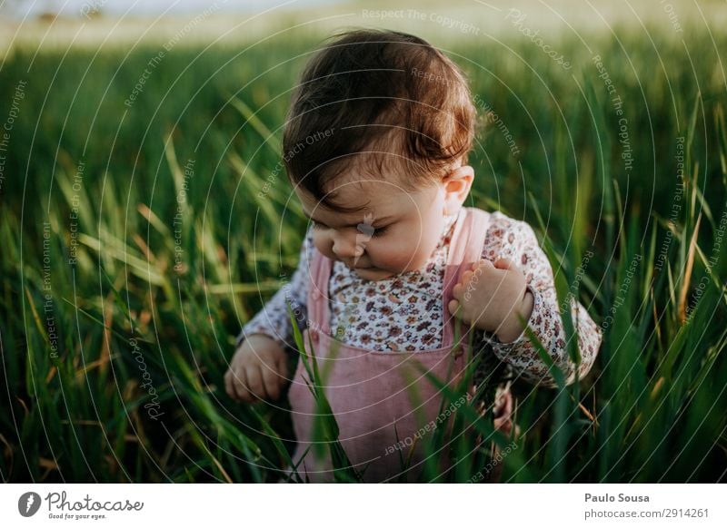 Baby in der Natur Lifestyle Ferien & Urlaub & Reisen Mensch Kind Kleinkind Mädchen 1 1-3 Jahre Umwelt Sommer Feld Bewegung entdecken Fröhlichkeit frisch Glück