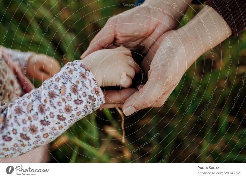 Tochter- und Mutterhände Lifestyle Kindererziehung Mensch Baby Kleinkind Mädchen Erwachsene Hand 1-3 Jahre 18-30 Jahre Jugendliche Umwelt Natur Feld berühren