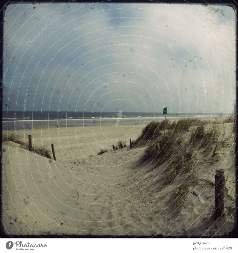 strandwärts Umwelt Natur Landschaft Urelemente Sand Wasser Himmel Wolken Wellen Küste Strand Ostsee Meer Schwimmen & Baden Stranddüne Sandstrand Pfosten