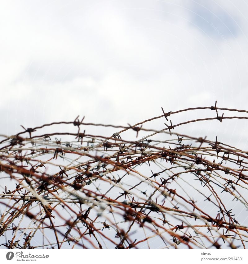 Störfaktor | Sichtbehinderung Himmel Wolken Stacheldraht Metall gruselig Spitze Wut Feindseligkeit Rache Aggression Gewalt Hass bedrohlich Politik & Staat