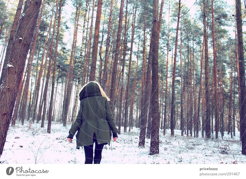 Ich ging im Walde... Spaziergang feminin Junge Frau Jugendliche Körper Rücken 1 Mensch Natur Winter Eis Frost Schnee Parka Kapuze Fell gehen Neugier Einsamkeit