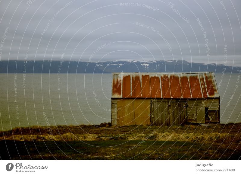 Island Häusliches Leben Umwelt Natur Landschaft Wasser Himmel Wolken Klima Wetter Felsen Fjord Haus Hütte Bauwerk Gebäude dunkel einfach Einsamkeit Farbfoto