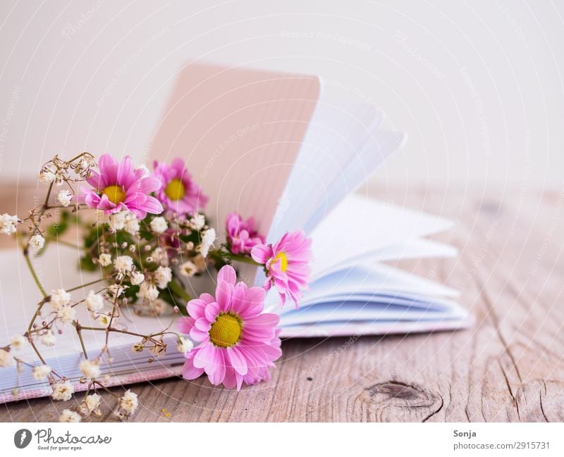 Frühlingsblumen auf einem Buch Lifestyle Muttertag Geburtstag Blume Blüte Tagebuch Blumenstrauß Duft liegen frisch schön rosa Frühlingsgefühle Kreativität