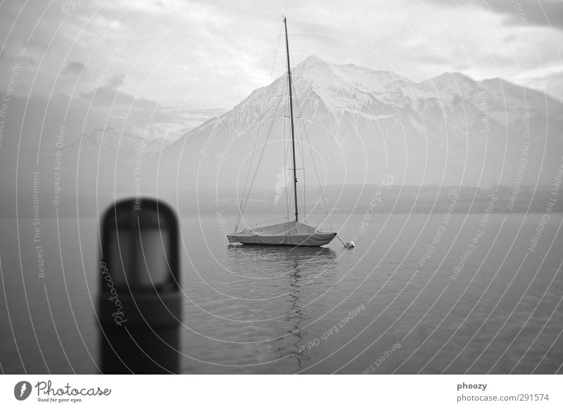 Thunersee Ausflug Ferne Sightseeing Winter Berge u. Gebirge Natur Landschaft Luft Wasser Himmel Wolken Horizont Alpen Gipfel Schneebedeckte Gipfel Seeufer