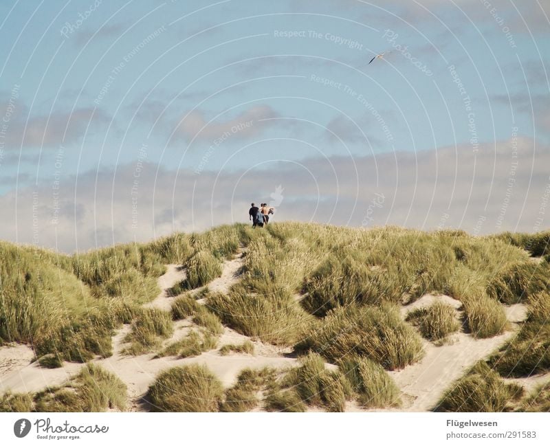 weit weit weg Lifestyle Freizeit & Hobby Menschengruppe Menschenmenge Wellen Küste Seeufer Flussufer Strand Nordsee Ostsee Meer wandern Düne Stranddüne