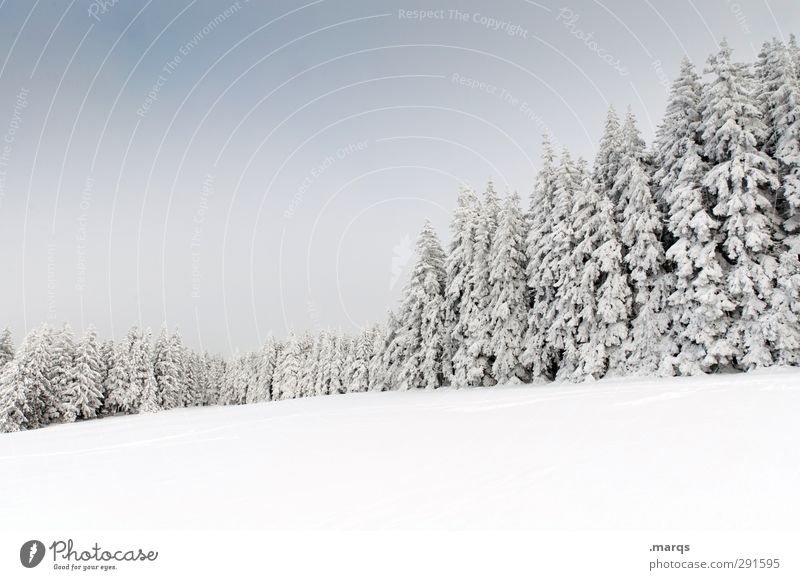 Brend Ferien & Urlaub & Reisen Tourismus Ausflug Winterurlaub Umwelt Natur Landschaft Himmel Klima Schönes Wetter Eis Frost Schnee Baum Baumreihe Feld Wald