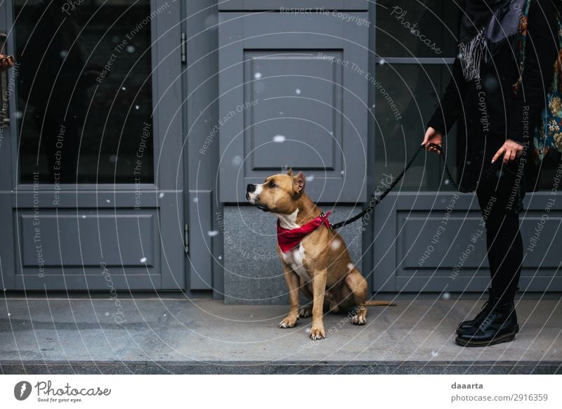 Schnee im Frühjahr - mit Hund 8 Lifestyle elegant Stil Freude Leben harmonisch Freizeit & Hobby Abenteuer Freiheit Tier Frühling Klimawandel Schönes Wetter