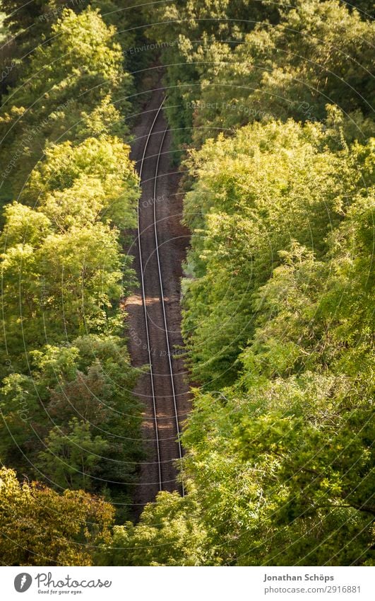 Bahnschienen im Wald Umwelt Natur Landschaft Verkehr Verkehrsmittel Verkehrswege Öffentlicher Personennahverkehr Güterverkehr & Logistik Bahnfahren