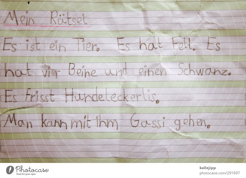 tierraten Kindererziehung Bildung Schule lernen Tier Haustier Hund 1 schreiben Zettel Handschrift Linie Schreibheft schreibschrift Rätsel Aufgabe PISA-Studie