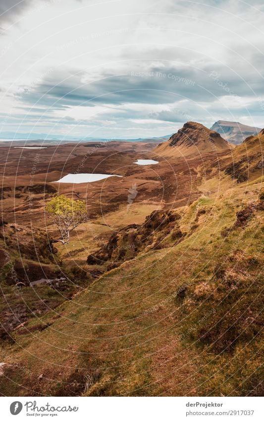 Wanderung über die Isle of Skye XIII Panorama (Aussicht) See Küste Seeufer Landschaft Felsen Bucht Schönes Wetter Sommer Tier Pflanze Wellen Umweltschutz Insel