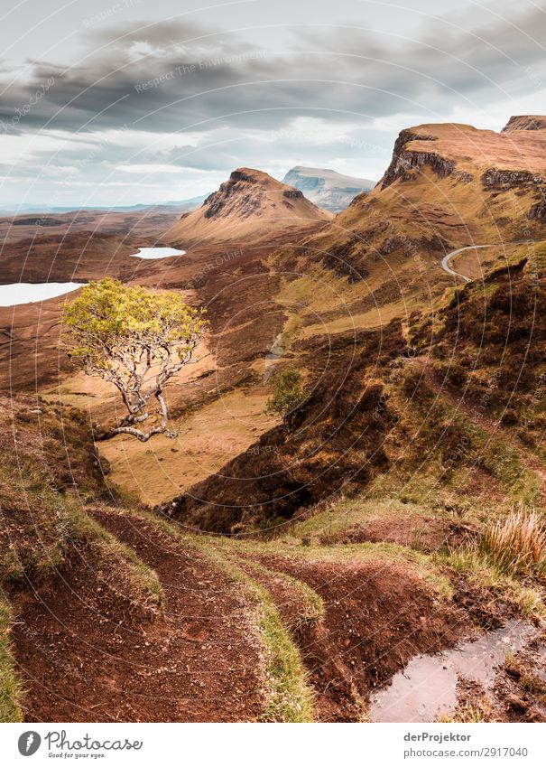 Wanderung über die Isle of Skye XI Panorama (Aussicht) See Küste Seeufer Landschaft Felsen Bucht Schönes Wetter Sommer Tier Pflanze Wellen Umweltschutz Insel