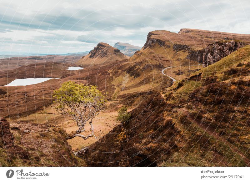 Wanderung über die Isle of Skye IX Panorama (Aussicht) See Küste Seeufer Landschaft Felsen Bucht Schönes Wetter Sommer Tier Pflanze Wellen Umweltschutz Insel