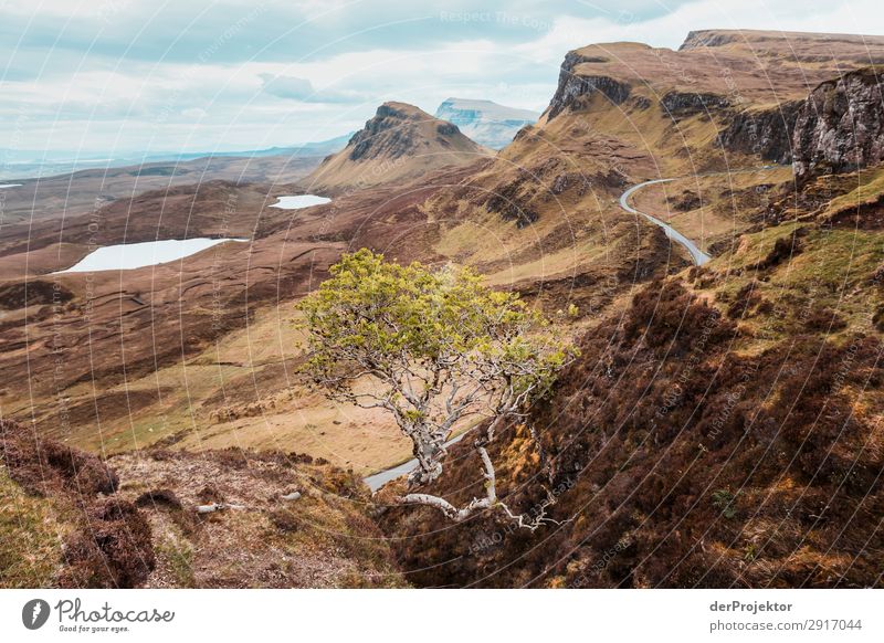 Wanderung über die Isle of Skye VIII Panorama (Aussicht) See Küste Seeufer Landschaft Felsen Bucht Schönes Wetter Sommer Tier Pflanze Wellen Umweltschutz Insel