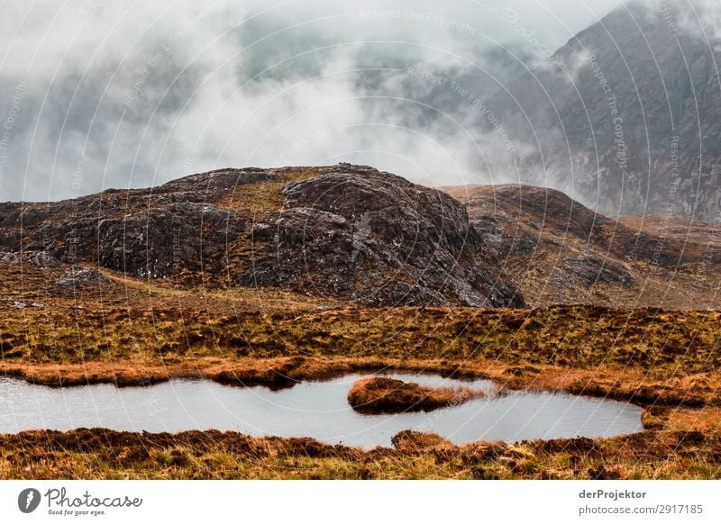 Isle of Skye am Tag Ferien & Urlaub & Reisen Tourismus Ausflug Abenteuer Ferne Freiheit Berge u. Gebirge wandern Umwelt Natur Landschaft Pflanze Tier Frühling