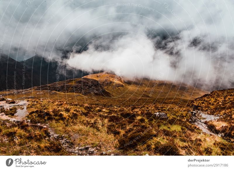 Isle of Skye am Tag Ferien & Urlaub & Reisen Tourismus Ausflug Abenteuer Ferne Freiheit Berge u. Gebirge wandern Umwelt Natur Landschaft Pflanze Tier Frühling