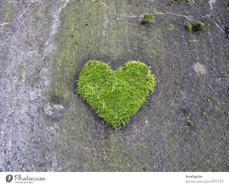 Natürlich Umwelt Pflanze Moos Grünpflanze Mauer Wand Fassade Zeichen Herz Wachstum außergewöhnlich natürlich grau grün Gefühle Freude Liebe Romantik einzigartig