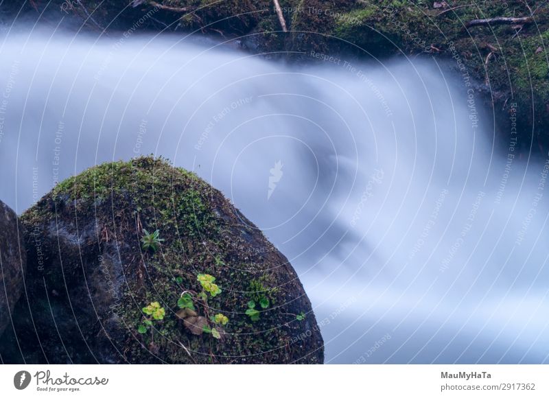 Unscharfe Bewegung des Wassers schön Leben Umwelt Natur Landschaft Baum Blatt Park Wald Felsen Bach Fluss Wasserfall Stein frisch lang nass natürlich blau grün