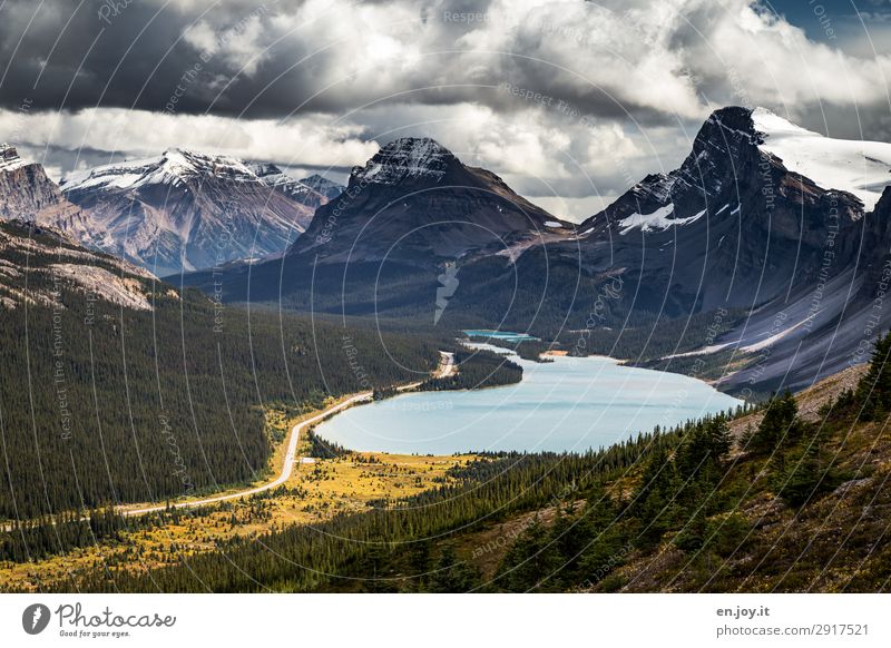 Berg und Tal Ferien & Urlaub & Reisen Ausflug Abenteuer Ferne Freiheit Sommerurlaub Berge u. Gebirge Natur Landschaft Wolken Herbst Rocky Mountains See Bow Lake