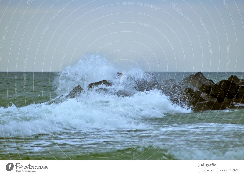 Ostsee, kalt Umwelt Natur Landschaft Wasser Klima Wind Wellen Darß Flüssigkeit nass natürlich wild Bewegung Gischt Buhne Farbfoto Gedeckte Farben Außenaufnahme