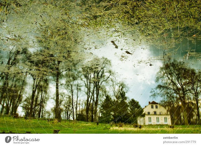 Sacrow April Berlin Erholung Frühling Garten Park Wald Waldspaziergang See Teich Wasseroberfläche Reflexion & Spiegelung Burg oder Schloss Gutshaus Haus Villa