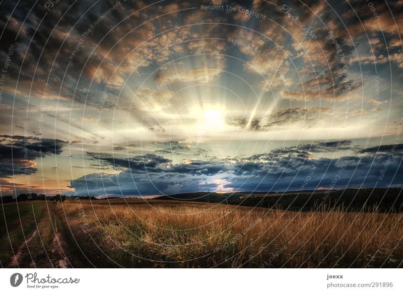 Es geht weiter Landschaft Pflanze Himmel Wolken Horizont Sonnenaufgang Sonnenuntergang Sonnenlicht Sommer Schönes Wetter Wiese Feld schön blau grau schwarz weiß