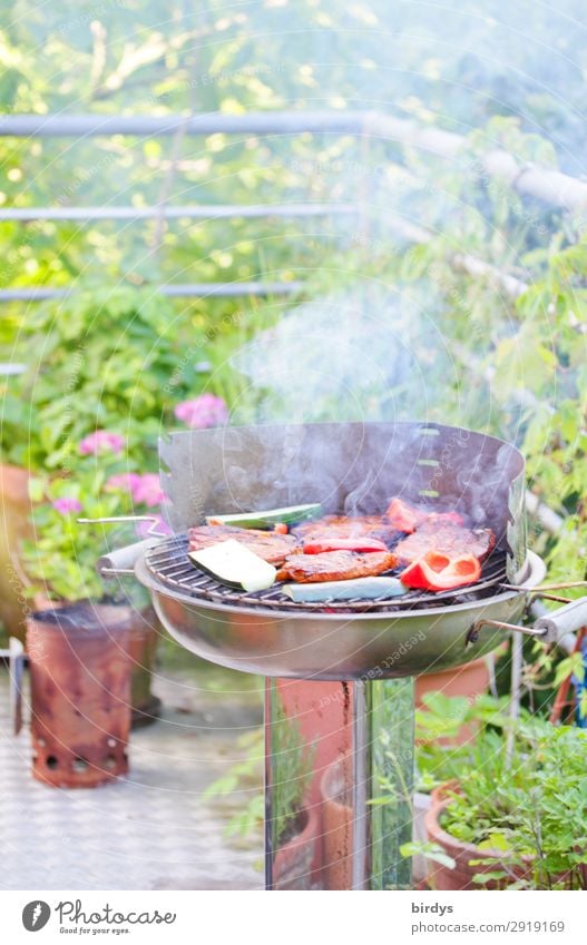 grillen auf Balkonien Fleisch Gemüse Ernährung Schönes Wetter Pflanze Blume Grill Holzkohle Rauch Rauchen authentisch positiv gelb grün rot silber Freude