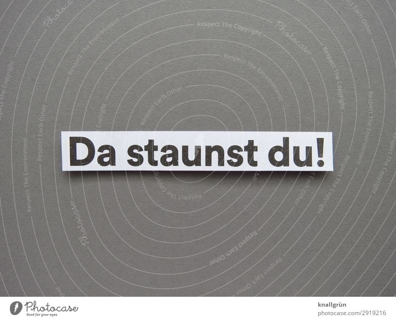 Da staunst du! staunen Überraschung Gefühle erstaunt Neugier Erwartung Schreck Blick Interesse Mensch Buchstaben Wort Satz Schriftzeichen Letter