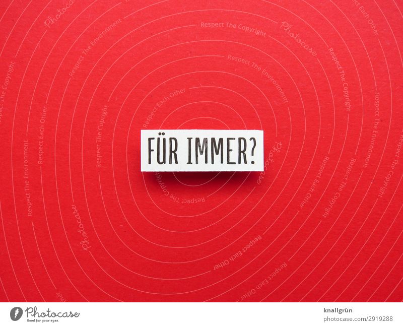 Für immer? Fragen Verunsicherung Zeit Fragezeichen Irritation Neugier ratlos Sorge Erwartung Buchstaben Wort Satz Letter Text Lateinisches Alphabet Typographie