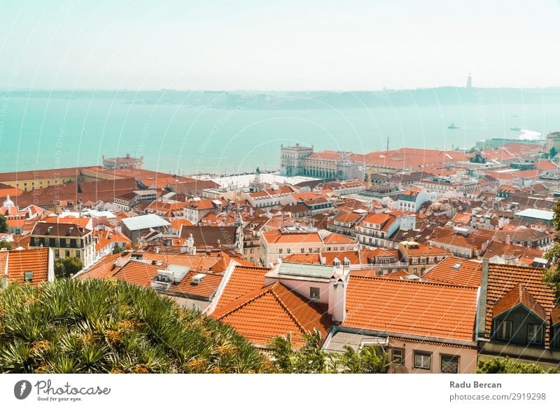 Luftaufnahme der Lissaboner Stadt Dächer in Portugal Fluggerät Aussicht Europa Vientiane Panorama (Bildformat) Skyline alt Tourismus Architektur Straße