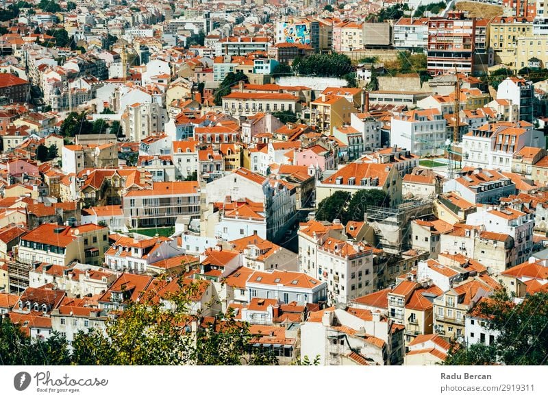 Luftaufnahme der Lissaboner Stadt Dächer in Portugal Fluggerät Aussicht Europa Vientiane Panorama (Bildformat) Skyline alt Tourismus Architektur Straße