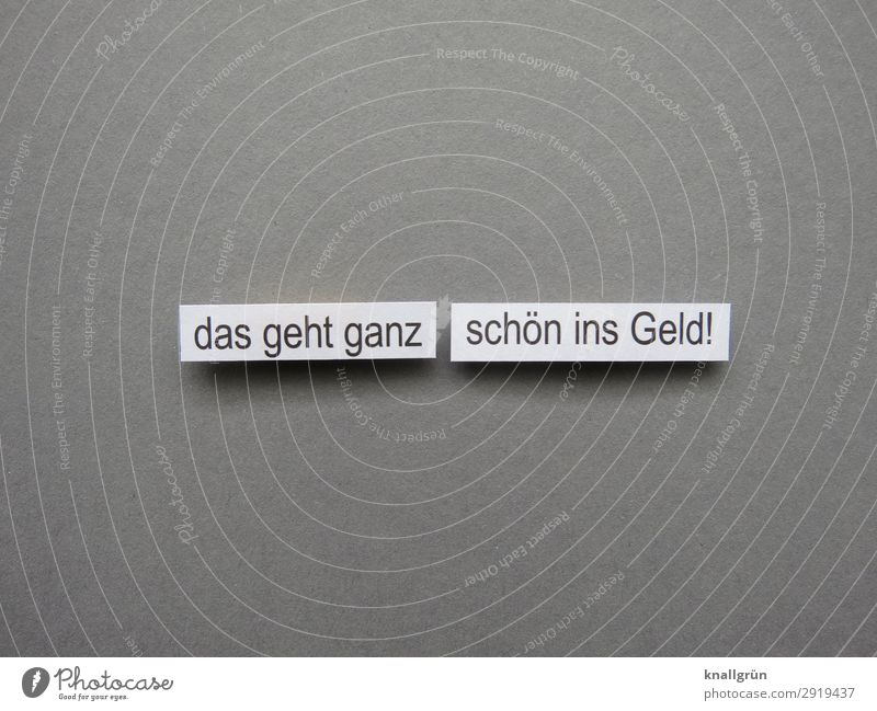 Das geht ganz schön ins Geld! teuer Lifestyle Rechnung bezahlen Kapitalwirtschaft Bargeld Reichtum Euro Investition kaufen Einkommen Wirtschaft Leben Ausgaben