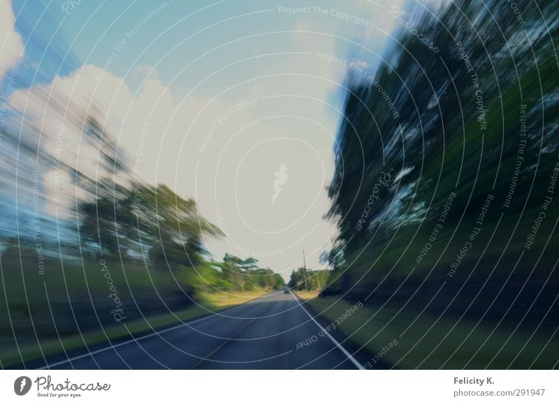 Hawaiian rush Natur Landschaft Sommer Schönes Wetter Baum Gras Sträucher Wald Urwald Autofahren Straße Geschwindigkeit Stress Farbfoto Außenaufnahme Sonnenlicht