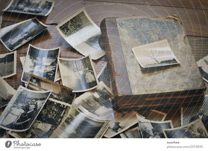 alte fotos Fotografie Schwarzweißfoto Fotografieren analog Erinnerung Nostalgie Trauer Familienalbum Vergangenheit Vergänglichkeit Kindheit Kindheitserinnerung