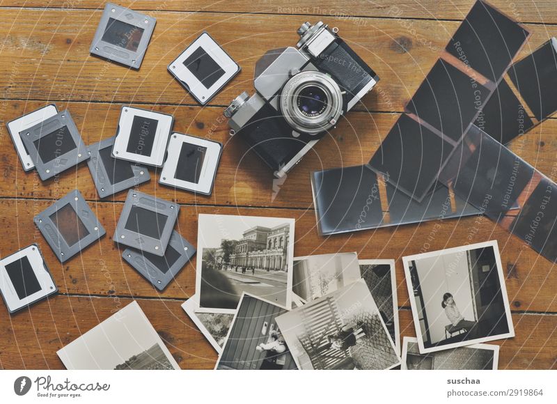 fotos machen Fotografie Dia negativ Fotokamera Schwarzweißfoto Fotografieren alt analog Erinnerung Nostalgie Trauer Familienalbum Vergangenheit Vergänglichkeit