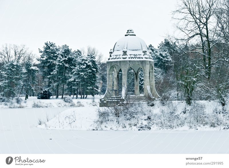 Winter im Stadtpark I Ausflug Eis Frost Schnee Baum Park See Adolf Mittagsee Magdeburg Deutschland Sachsen-Anhalt Europa Hauptstadt Stadtzentrum Menschenleer