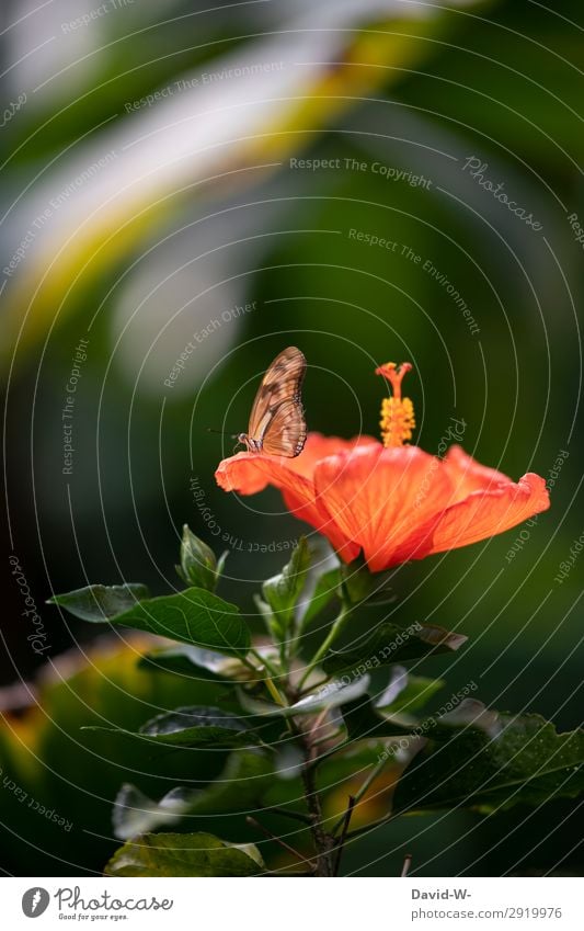 bereit zum Abflug Kunst Kunstwerk Gemälde Umwelt Natur Luft Sonne Sonnenlicht Frühling Sommer Klima Klimawandel Wetter Schönes Wetter Wärme Pflanze Blume Blatt