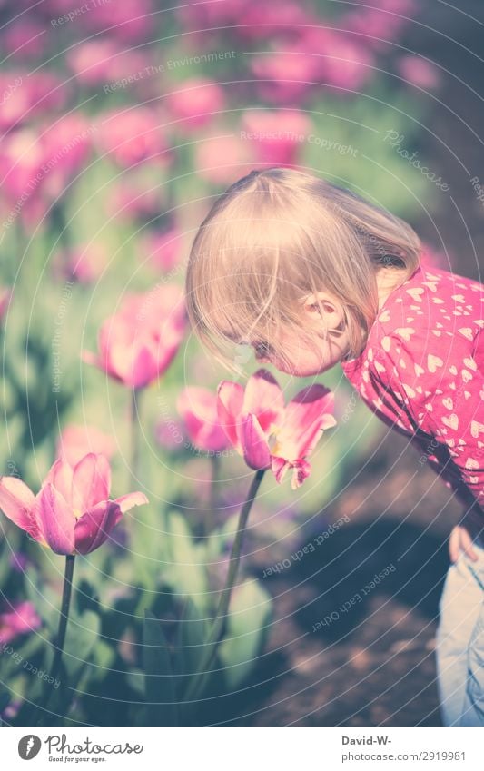 Ein Sommertag II harmonisch Zufriedenheit Sinnesorgane Kindererziehung Mensch Kleinkind Mädchen Kindheit Leben Kopf Gesicht Nase 1 1-3 Jahre Umwelt Sonne