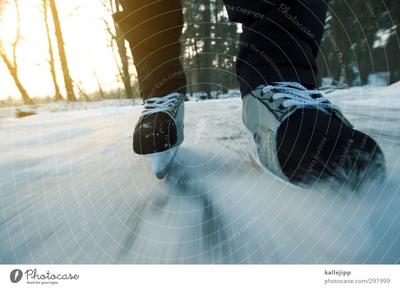 projekt seerosenteich Mensch 1 Umwelt Natur Landschaft Winter Eis Frost Schnee Seeufer Schlittschuhlaufen Schlittschuhe Kufe gleiten Freizeit & Hobby