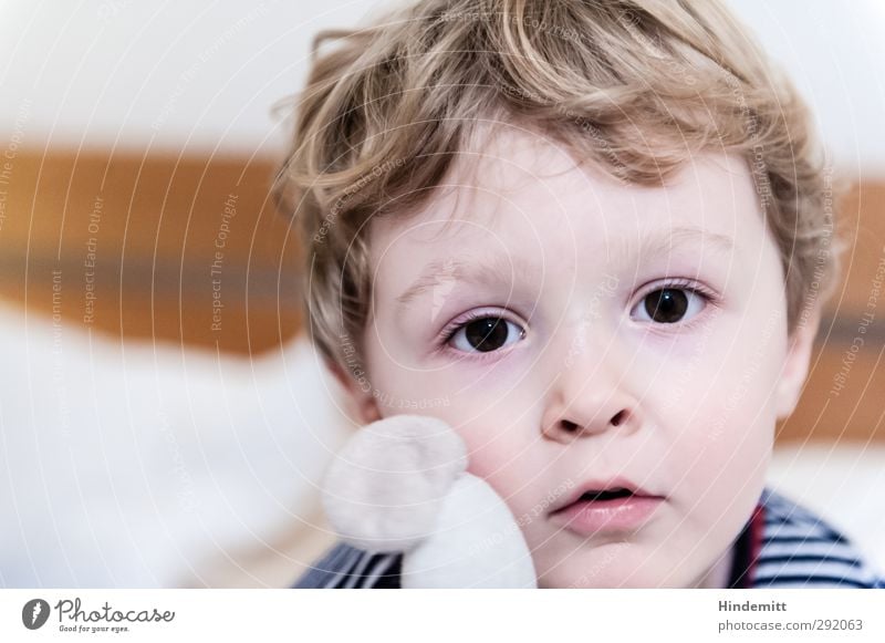 Emil Mensch Kind Kleinkind Junge Kindheit Gesicht Auge Mund 1 3-8 Jahre T-Shirt blond kurzhaarig Locken Stofftiere entdecken Freundlichkeit Neugier niedlich