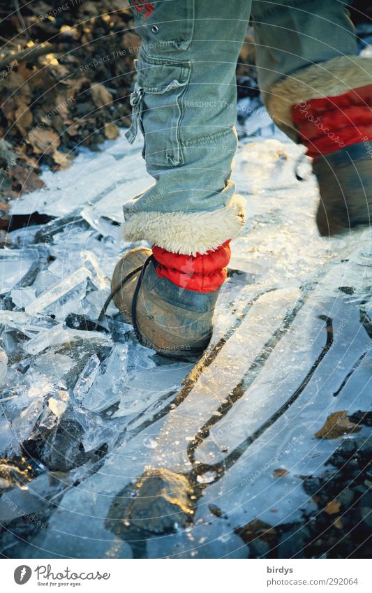 Kind tritt in eine gefrorene Pfütze Junge 1 Mensch 3-8 Jahre Kindheit Wasser Winter Eis Frost Jeanshose Fell Stiefel Lederschuhe springen authentisch rebellisch