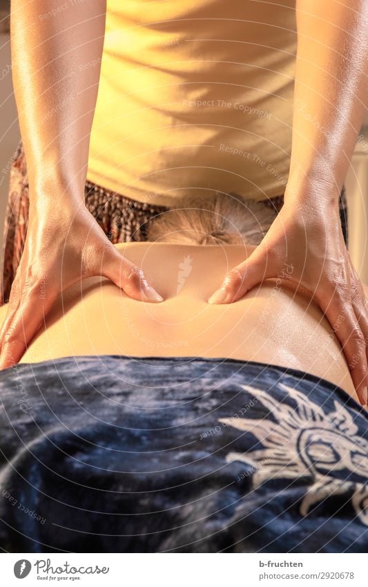 Massieren Gesundheit Gesundheitswesen Behandlung Wellness harmonisch Wohlgefühl Zufriedenheit Sinnesorgane Erholung ruhig Kur Spa Massage Frau Erwachsene Rücken