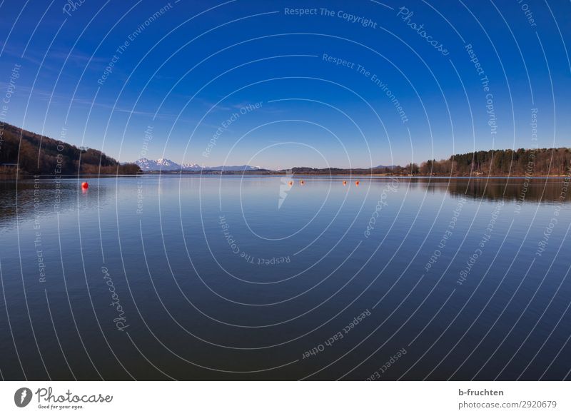 Ruhe am See Umwelt Natur Landschaft Wasser Himmel Horizont Frühling Schönes Wetter Wald Hügel Alpen Berge u. Gebirge Seeufer Strand träumen frei blau Glaube