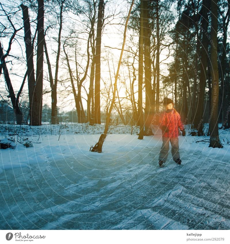 auf dem seerosenteich Freizeit & Hobby Spielen Kinderspiel Mensch feminin Mädchen Kindheit Leben Körper 1 8-13 Jahre Umwelt Natur Landschaft Winter Klima Eis