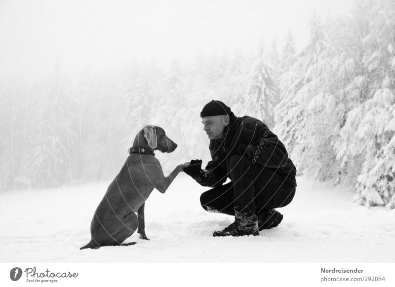 Mann und Weimaraner Jagdhund im Winterwald Lifestyle Leben Schnee Winterurlaub Team Mensch Erwachsene Freundschaft 1 45-60 Jahre Klima Wetter Nebel Eis Frost