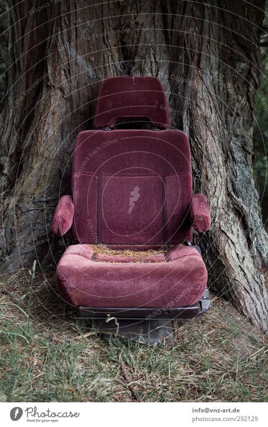 Chair Renovieren Umzug (Wohnungswechsel) Möbel Sessel Stuhl Umwelt Natur Erde Baum alt grau violett Flugangst Misserfolg Kinosessel Farbfoto Außenaufnahme