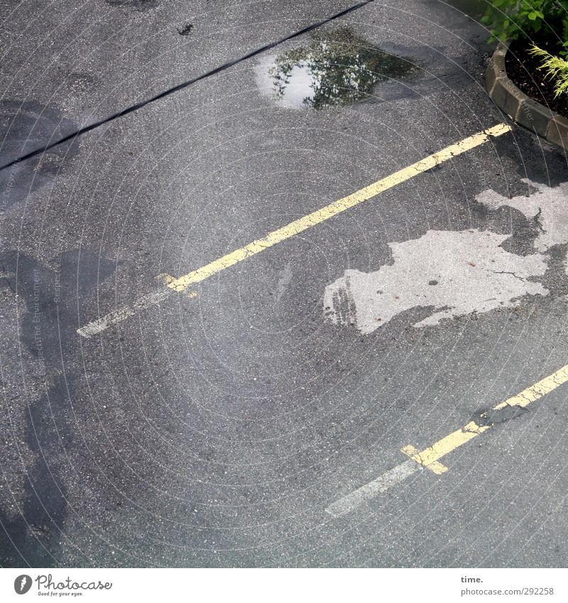 Mut zur Lücke Wasser Pflanze Pfütze Verkehr Verkehrswege Autofahren Straße Parkplatz Parkbucht Asphalt Markierungslinie Blumenbeet ölfleck authentisch kaputt