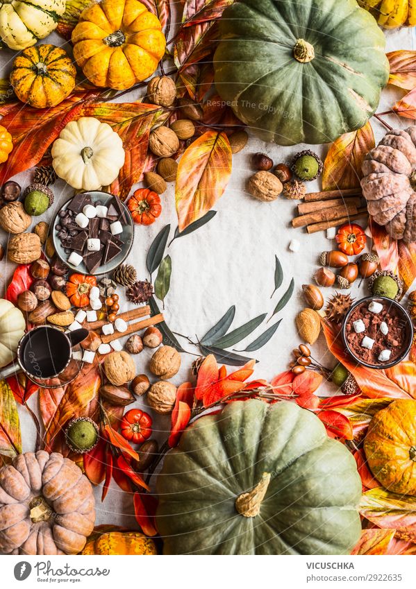 Bunte Kürbisse und Herbst Arrangement Lebensmittel Schokolade Kräuter & Gewürze Stil Design Häusliches Leben Tisch Erntedankfest Halloween